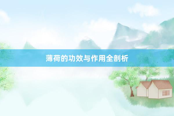 薄荷的功效与作用全剖析