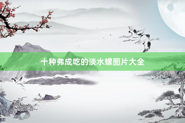 十种弗成吃的淡水螺图片大全